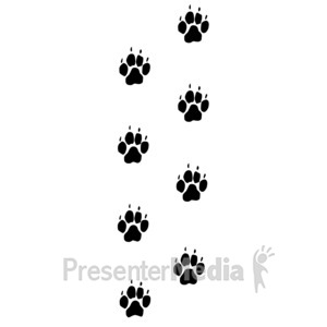 300x300 Presenter Media