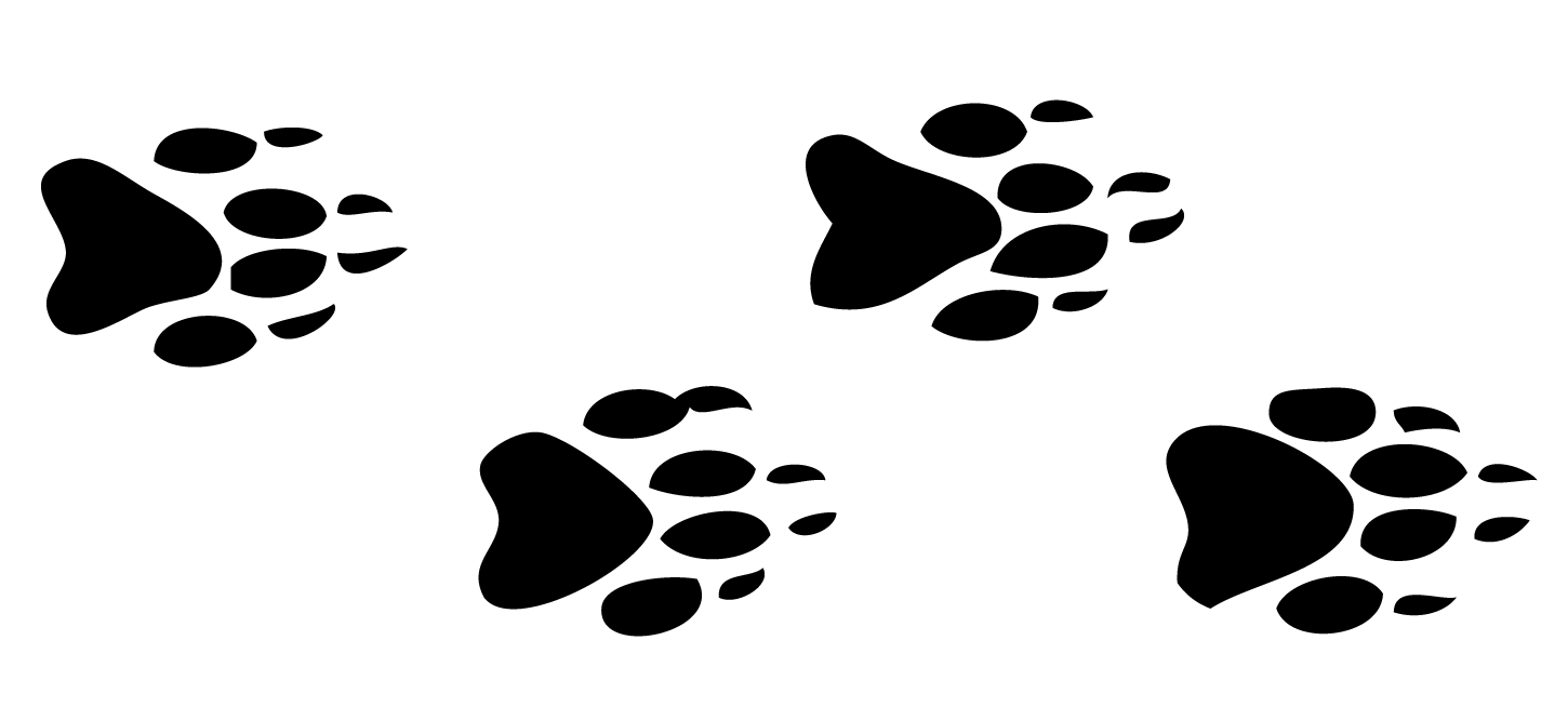 1450x654 Raccoon Clipart Footprint