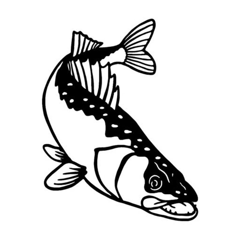 800x800 Buy Walleye Decal And Get Free Shipping