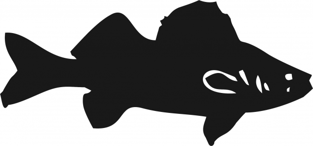 640x300 Fish Walleye Silhouette Laser Cut Appliques