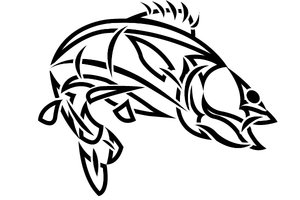 300x200 Fishing Clipart Walleye