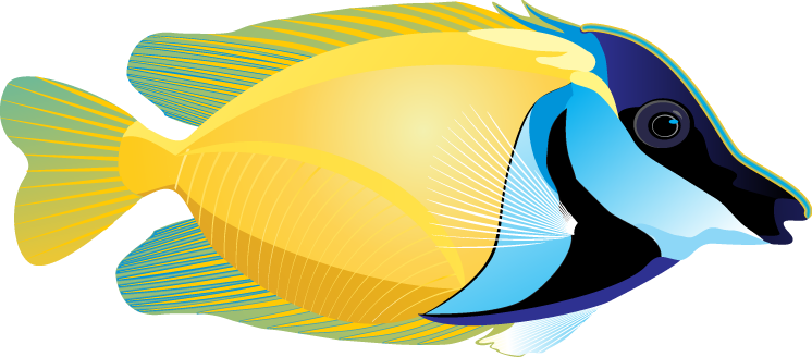 746x328 Free Clipart Of Tropical Fish