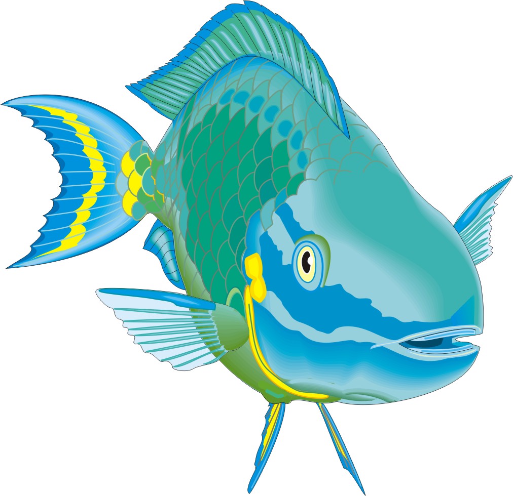 1012x980 Walleye Clip Art