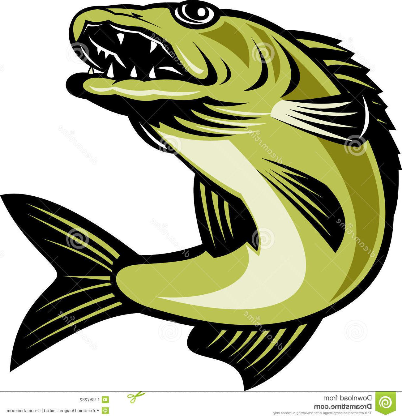 Walleye Clipart | Free download on ClipArtMag