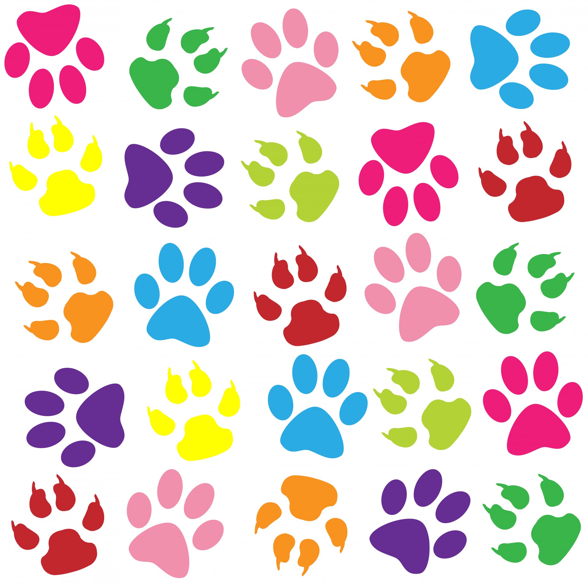 1920x1911 Paw Clipart Wallpaper