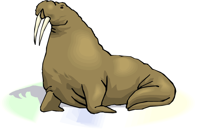750x496 Top Walrus Clip Art Free Clipart Image 5