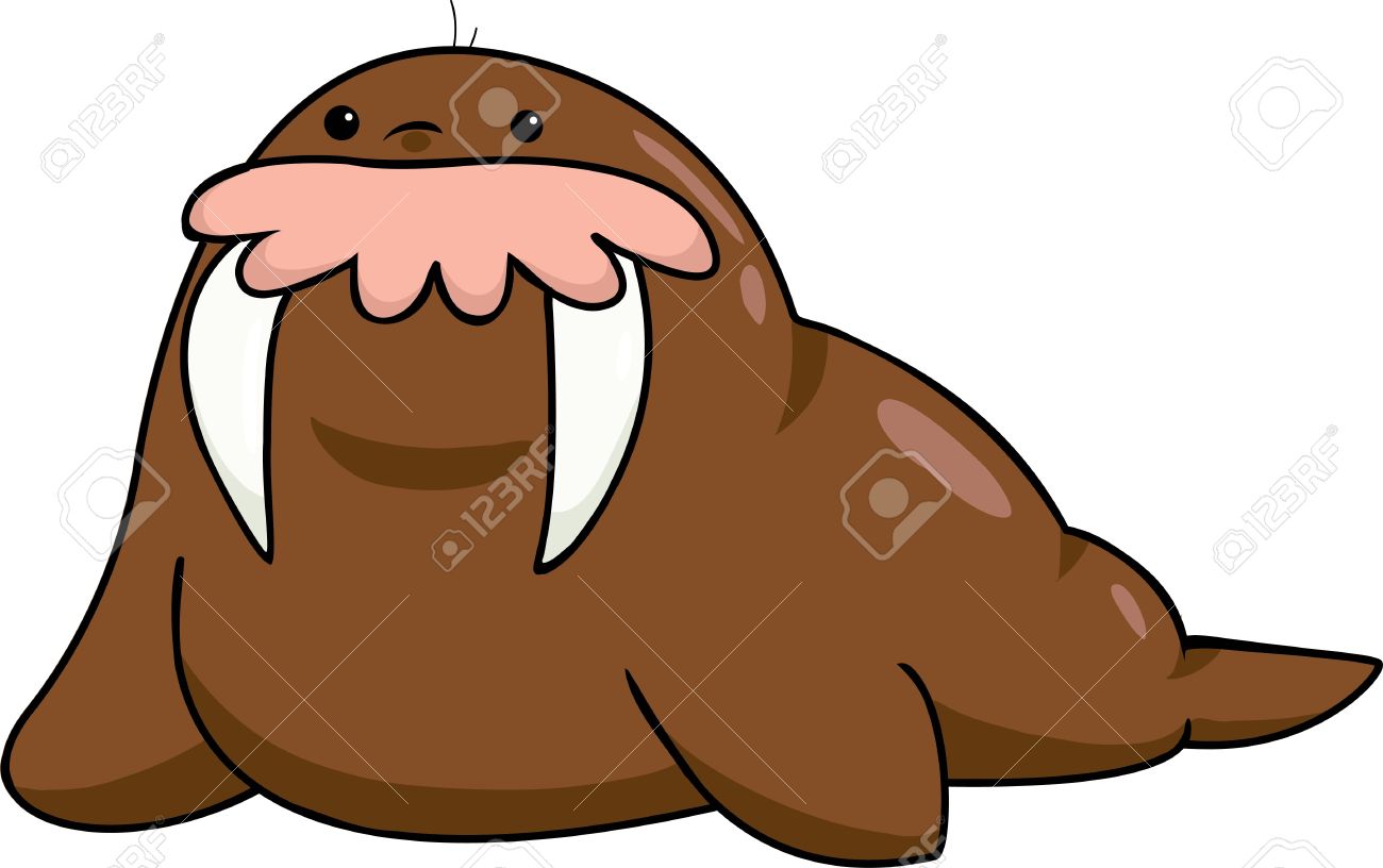 1300x816 Top Walrus Clip Art Free Clipart Spot