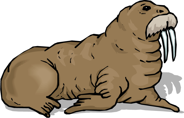 750x481 Walrus Clipart Clipart Panda