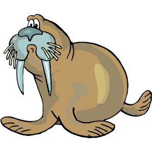 300x300 Walrus Clip Art Download Wikiclipart