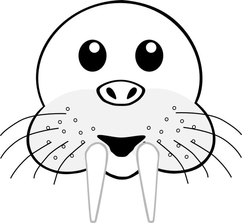 830x763 Walrus Clipart Outline