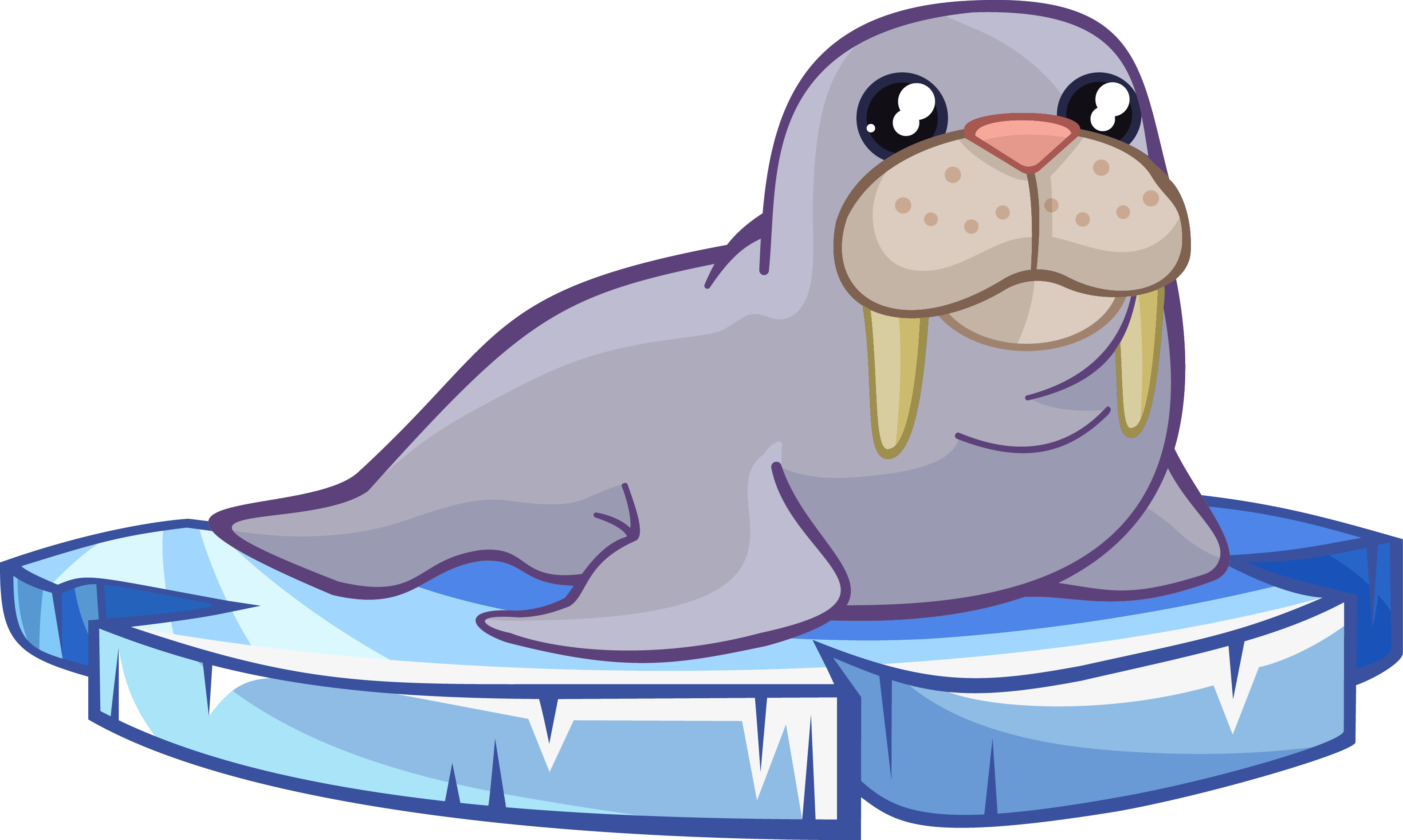 3163x1896 Walrus Free To Use Cliparts