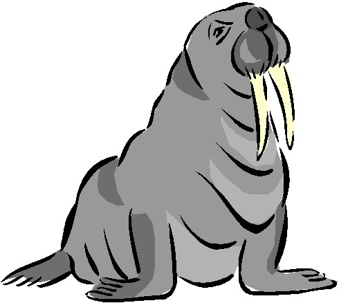 490x438 Free Walrus Clipart Clip Art Library