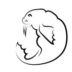 150x150 Dead Walrus Royalty Free Vector Clip Art Image