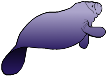368x268 Manatee Clip Art Free Clipart Images 2