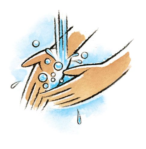486x495 Hand Washing Clip Art Archives