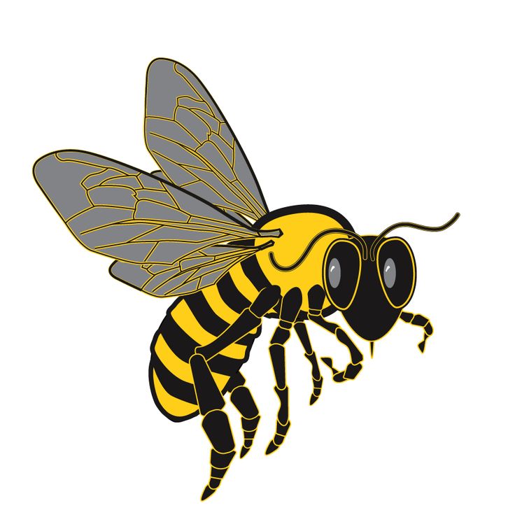 Wasp Clipart