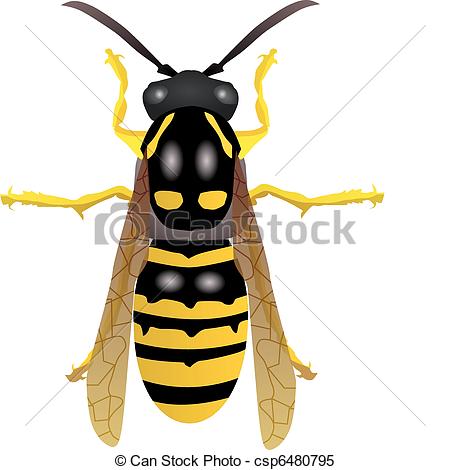 450x470 Top 91 Wasp Clip Art
