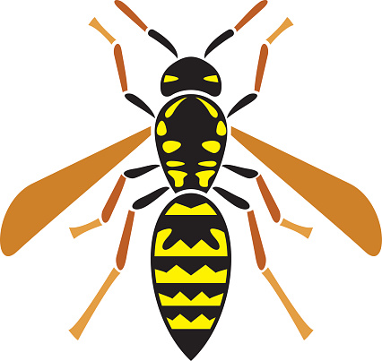 426x403 True Wasp Clipart
