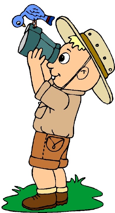 391x720 Bird Watching Clipart