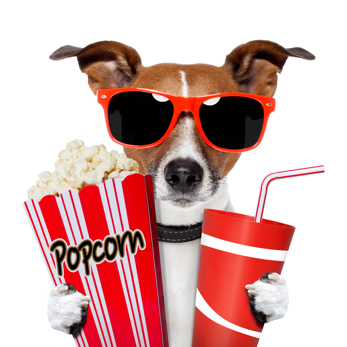 1414x1414 Watching Movies Clipart