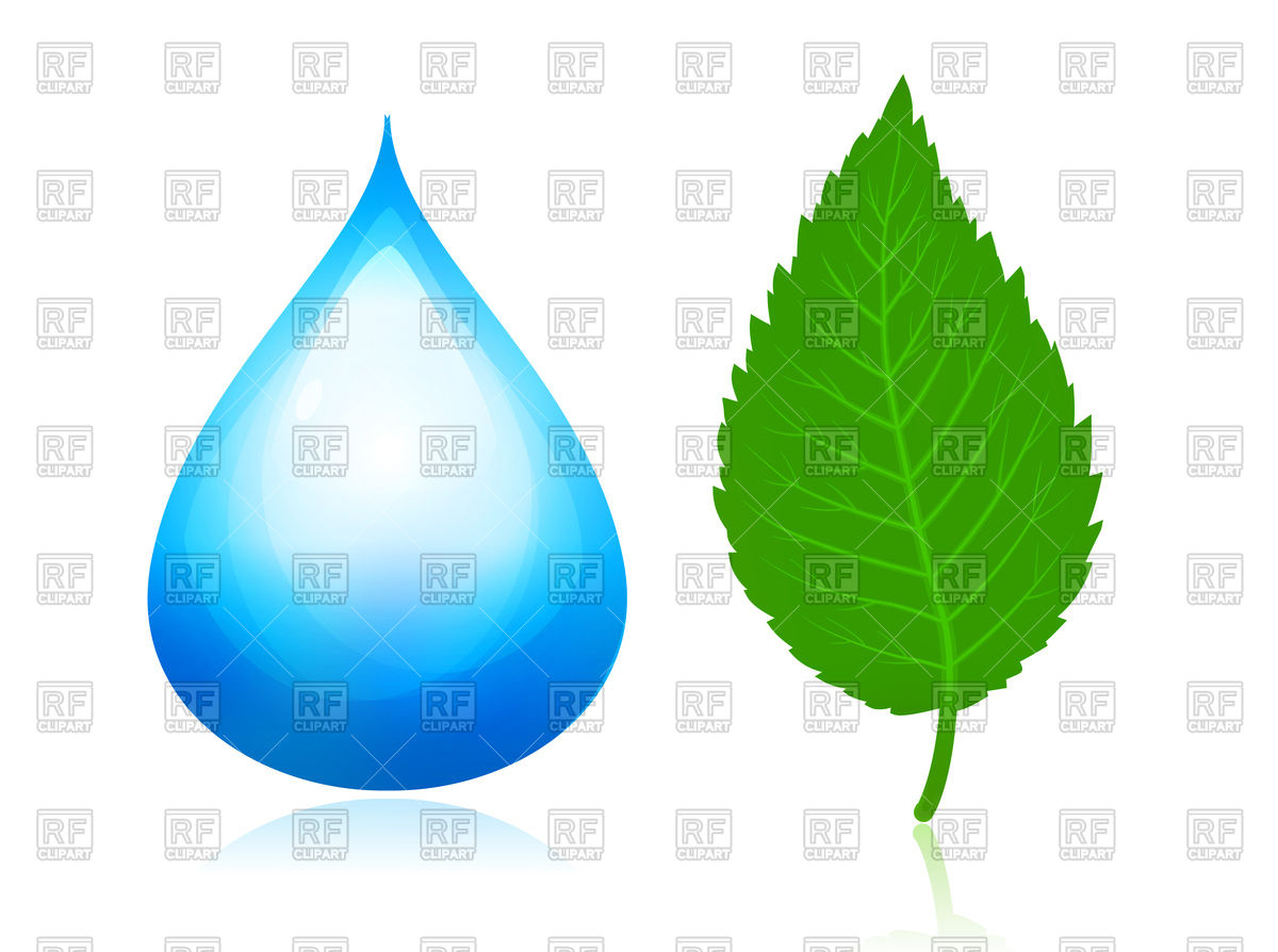 1200x894 Blue Water Drop And Green Leaf Royalty Free Vector Clip Art Image