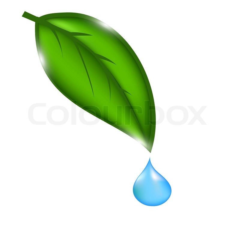 800x757 Drops Water Leaf Clipart, Explore Pictures