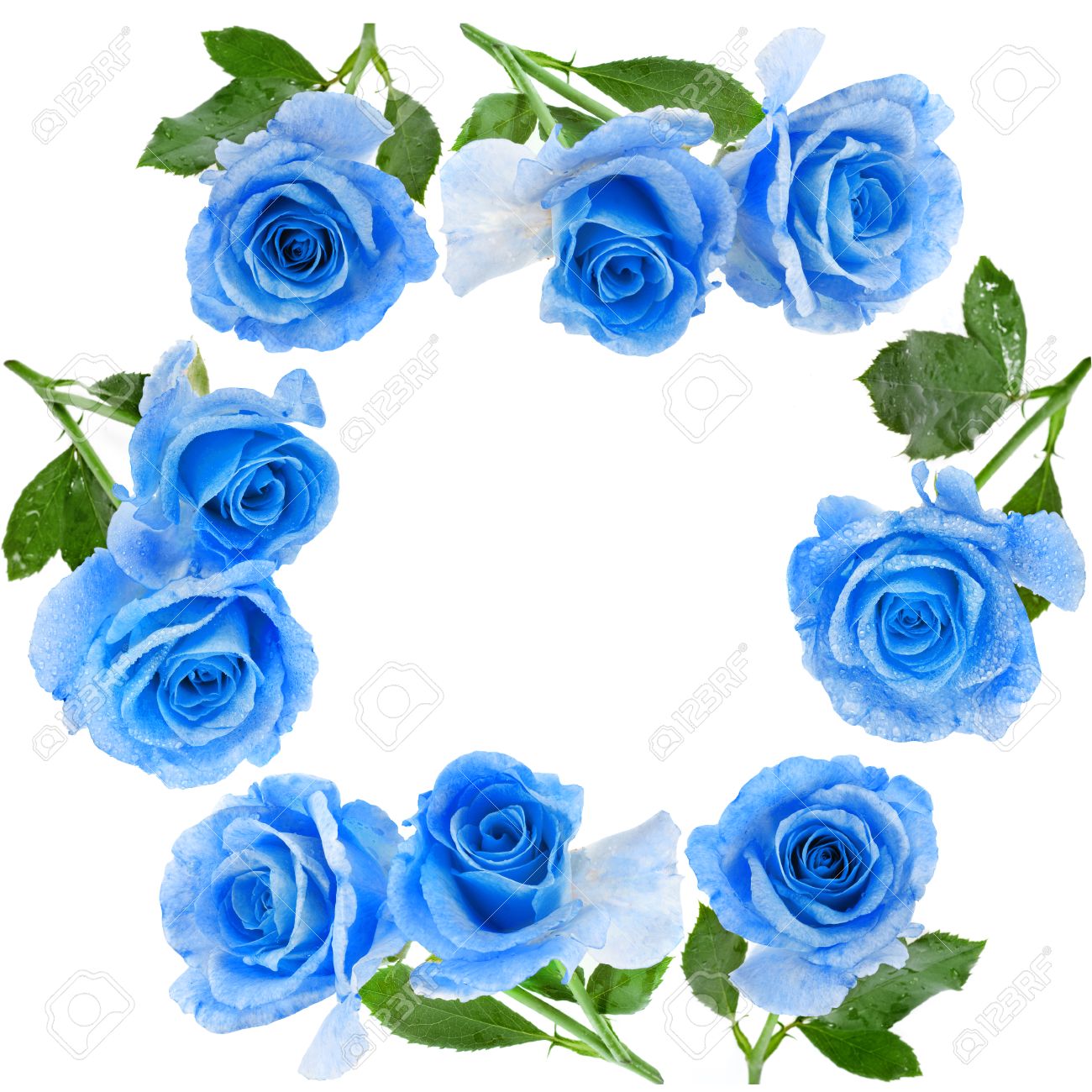 1300x1300 Blue Rose Clipart Water Drop