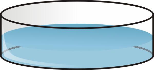 600x275 Petri Dish Clip Art Free Vector 4vector