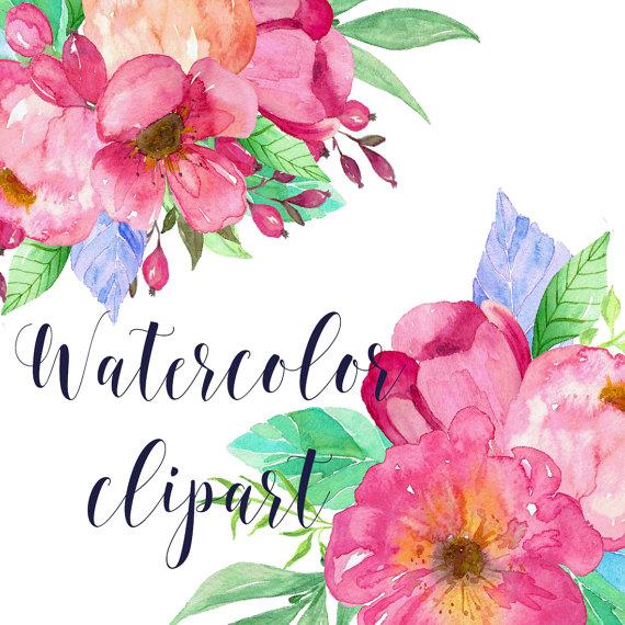 570x570 Watercolor Floral Clip Art 24 Hand Painted Watercolor Floral