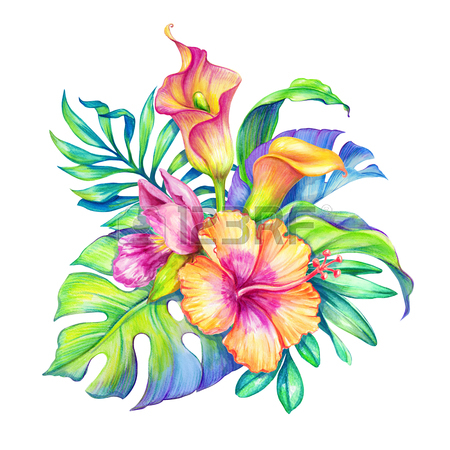 450x450 Watercolor Floral Illustration, Exotic Nature, Tropical Flowers