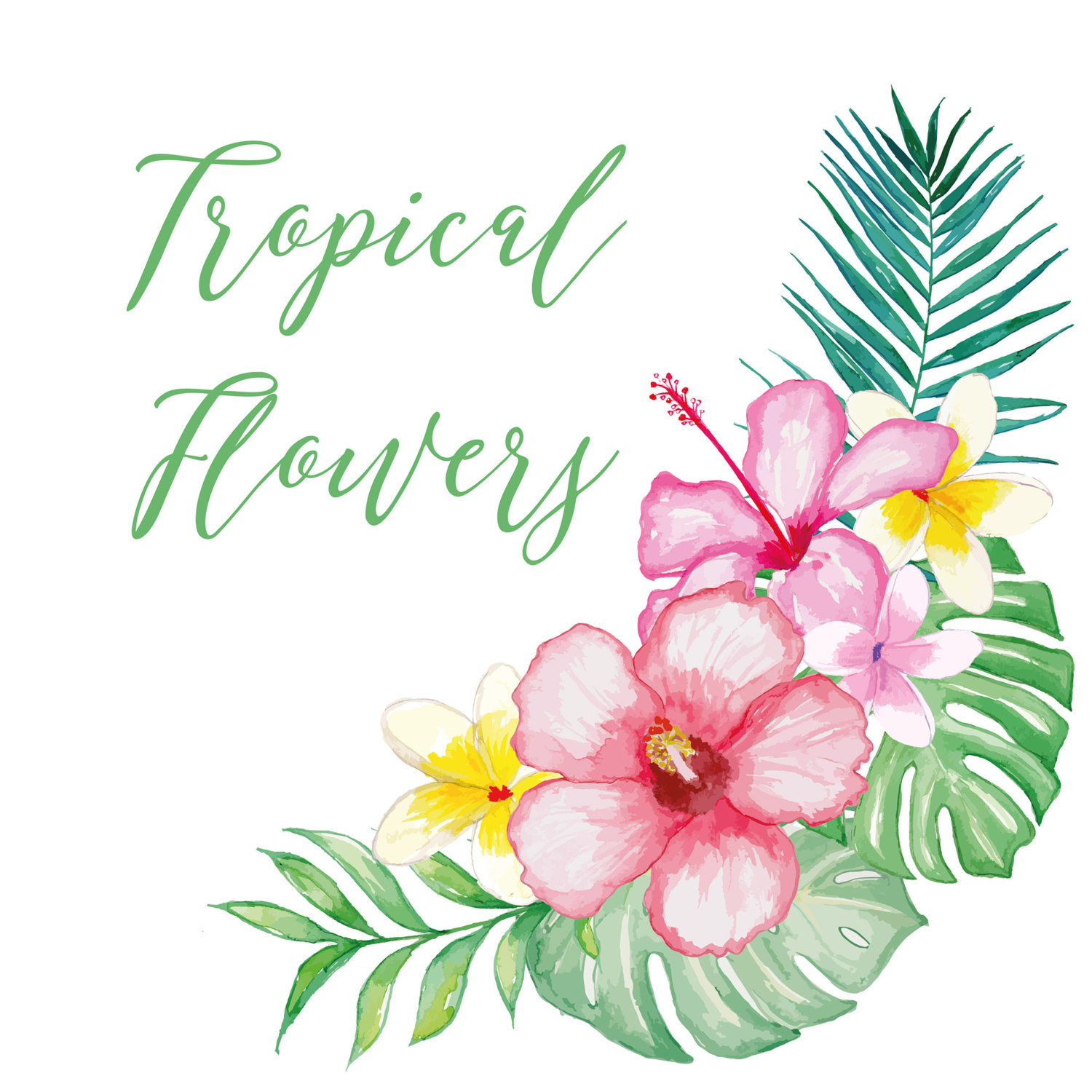 1500x1500 Watercolor Tropical Clipart Vector , Watercolor Flower, Pink
