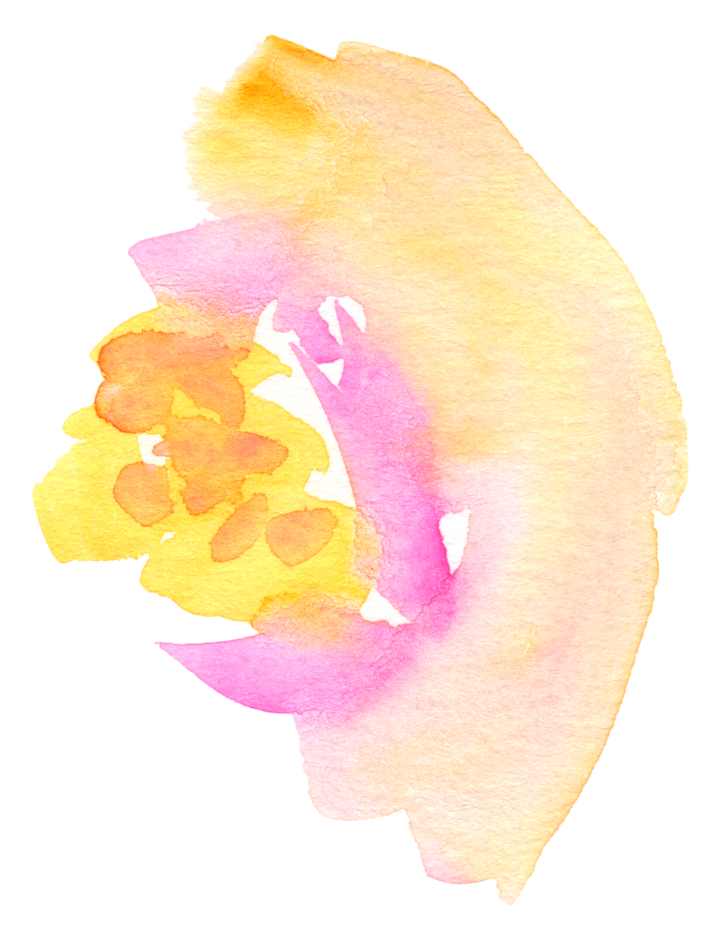 1452x1944 Free Fall Watercolor Floral Clip Art So Pretty!