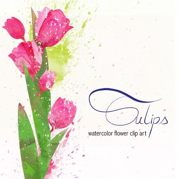 576x576 Tulip, Instant Download, Flower Clip Art, Watercolor Flower