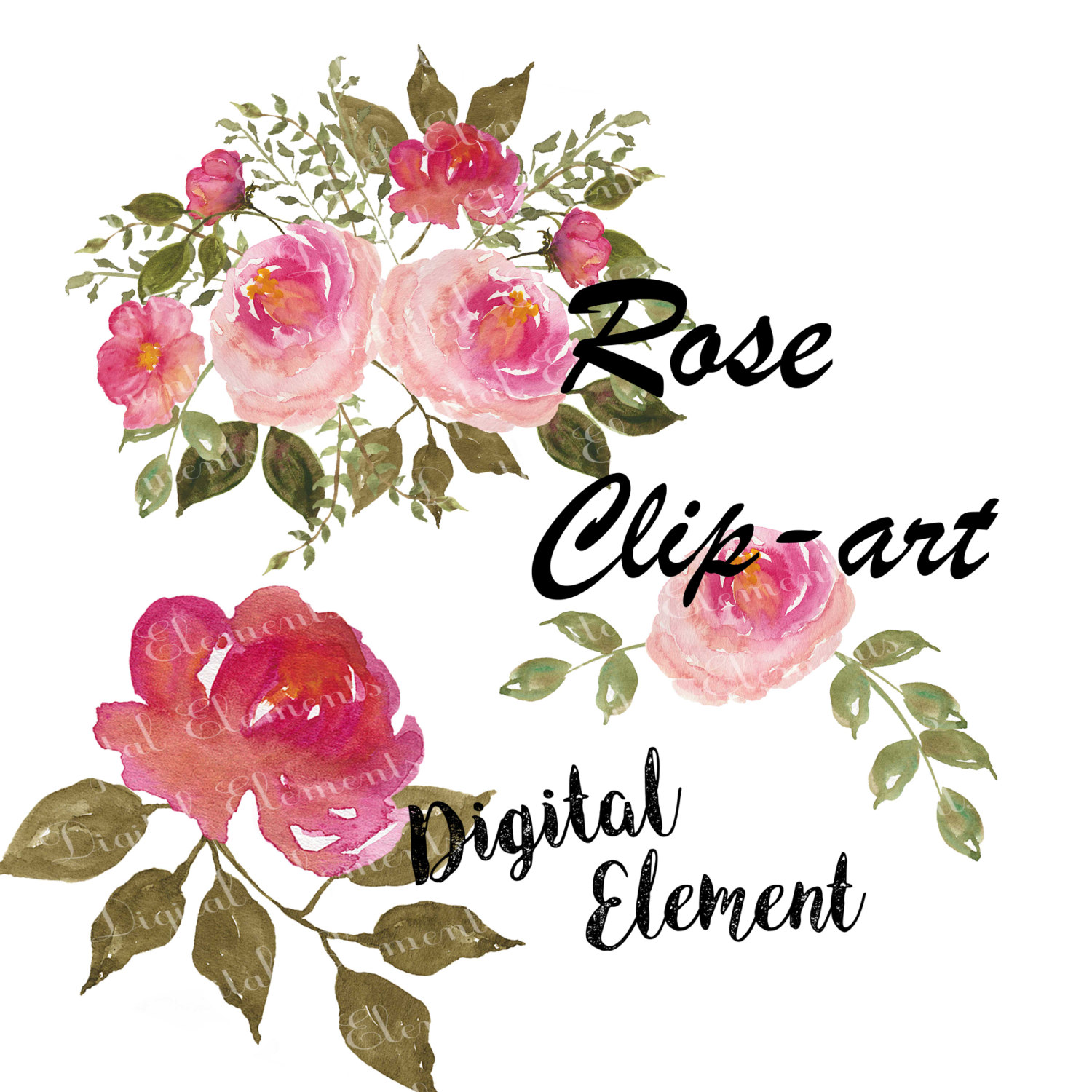 1500x1500 Watercolor Flower Clip Art, Shabby English Rose Clipart, Shabby