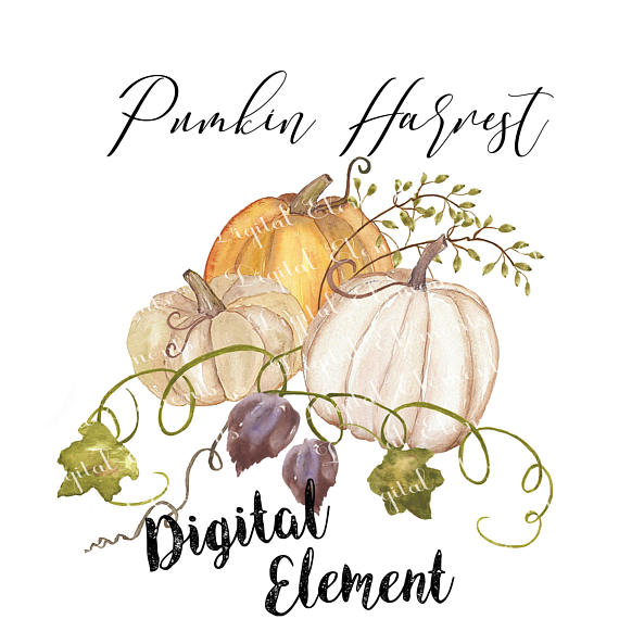 570x570 Pumpkin Watercolor Clip Art Pumkin And Fall Harvest Clip Art