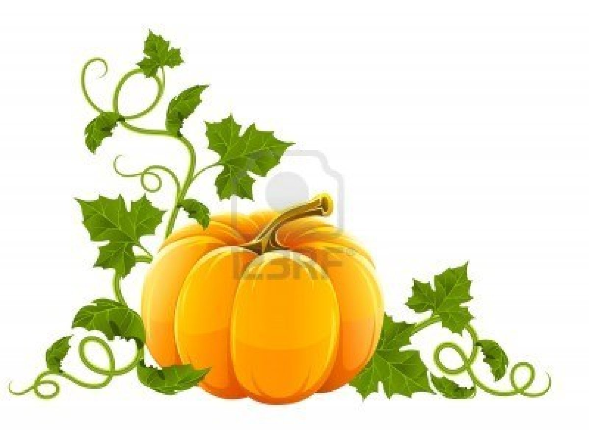 1200x876 Pumpkin With Lots Of Leaves Pumpkin