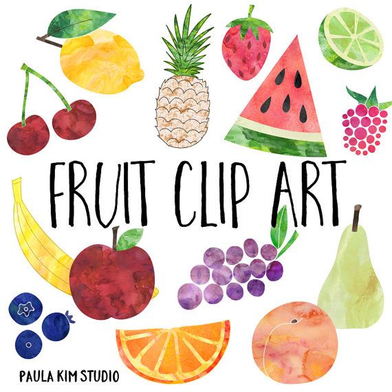 570x570 Watercolor Fruit Clip Art, Fruit Clipart, Instant Digital Download