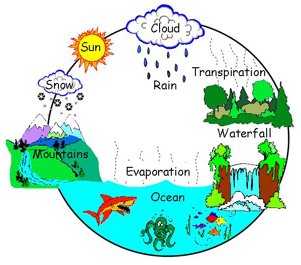 613x540 Water Cycle Clip Art