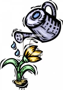 209x300 Art Image A Yellow Flower And A Watering Can