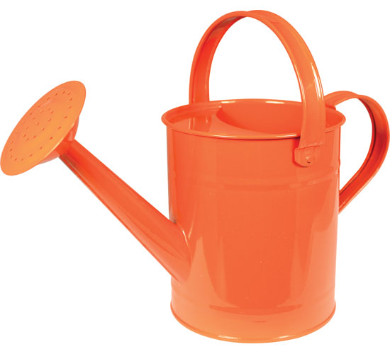 550x500 Metal Watering Can For Kids Planet Natural
