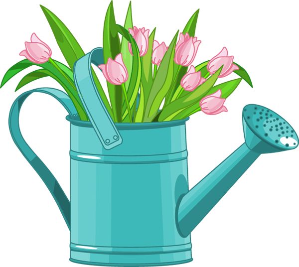 600x536 Watering Can Clipart Cute