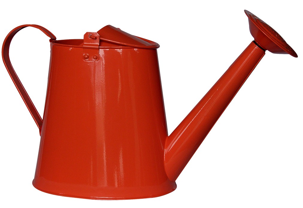 1011x695 Watering Can