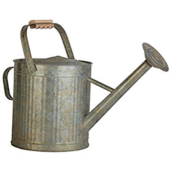 350x350 Behrens 208 2 Gallon Steel Watering Can Metal