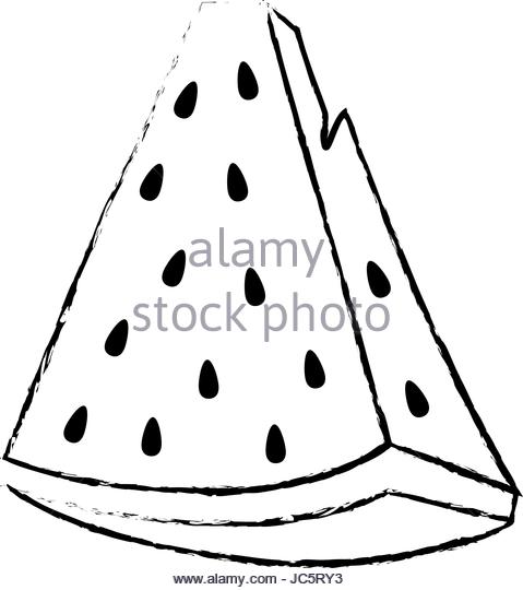 479x540 Watermelon Plant Black And White Stock Photos Amp Images