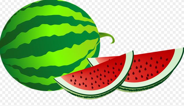 637x370 Watermelon Clipart Black And White All Butterfly Images