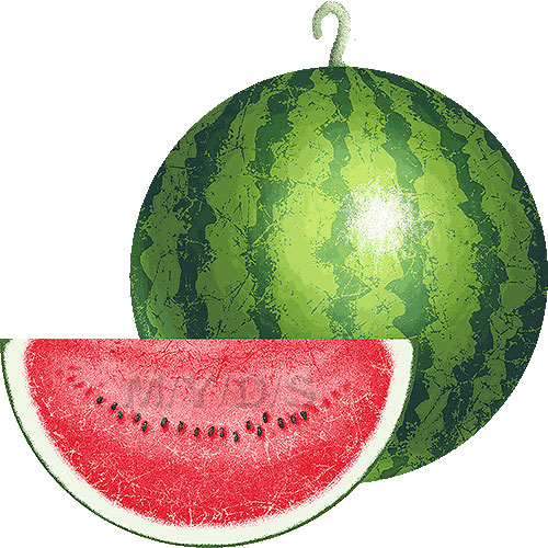 500x500 Watermelon Clipart Free Clip Art Image 1