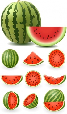 217x368 Watermelon Free Vector Download (124 Free Vector) For Commercial