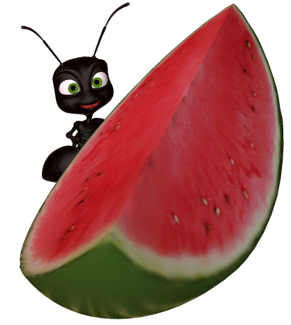 417x466 Watermelon Clip Art