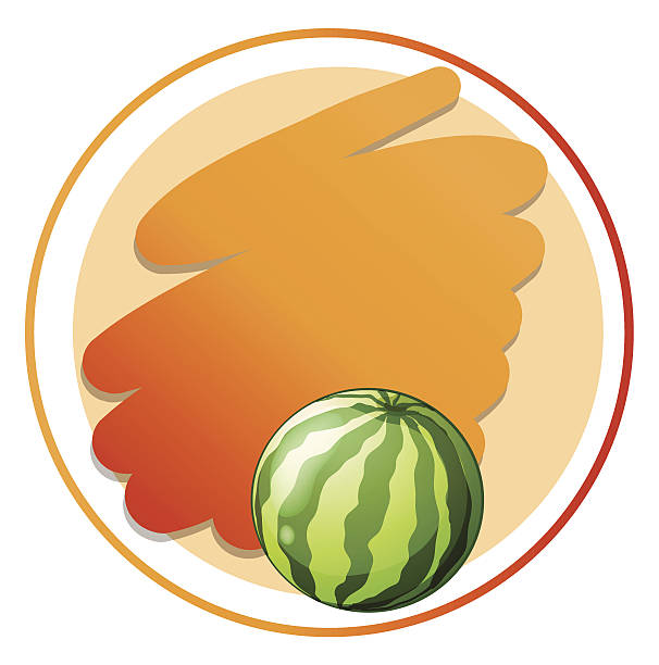 606x612 Watermelon Clipart Round