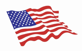 Waving Flag Image